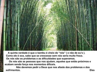 A quinta verdade é que o bambu é cheio de “nós” ( e não de eu’s ).  Como ele é oco, sabe que se crescesse sem nós seria muito fraco.  Os nós são os problemas e as dificuldades que superamos.  Os nós são as pessoas que nos ajudam, aqueles que estão próximos e  acabam sendo força nos momentos difíceis.  Não devemos pedir a Deus que nos afaste dos problemas e dos sofrimentos.  Eles são nossos melhores professores, se soubermos aprender com eles. 