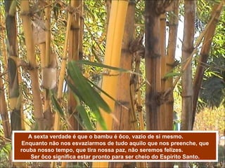A sexta verdade é que o bambu é ôco, vazio de si mesmo.  Enquanto não nos esvaziarmos de tudo aquilo que nos preenche, que rouba nosso tempo, que tira nossa paz, não seremos felizes.  Ser ôco significa estar pronto para ser cheio do Espírito Santo. 