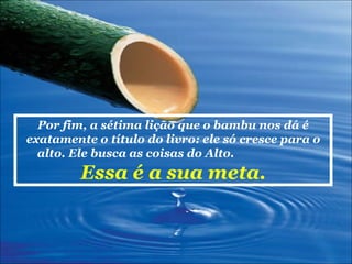 Por fim, a sétima lição que o bambu nos dá é exatamente o título do livro: ele só cresce para o alto. Ele busca as coisas do Alto.  Essa é a sua meta. 