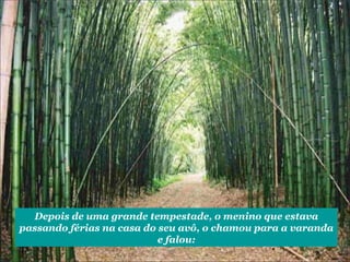 Depois de uma grande tempestade, o menino que estava passando férias na casa do seu avô, o chamou para a varanda e falou: 