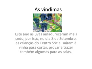 As vindimas Este ano as uvas amadureceram mais cedo, por isso, no dia 8 de Setembro, as crianças do Centro Social sairam à vinha para cortar, provar e trazer também algumas para as salas. 