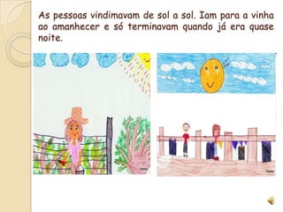 As pessoas vindimavam de sol a sol. Iam para a vinha ao amanhecer e só terminavam quando já era quase noite.