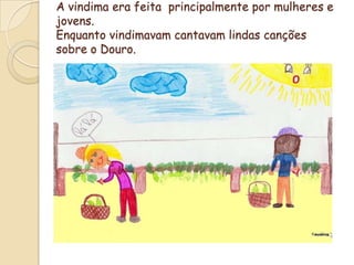A vindima era feita  principalmente por mulheres e jovens.Enquanto vindimavam cantavam lindas canções sobre o Douro.