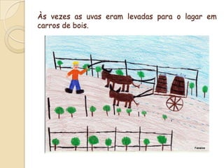 Às vezes as uvas eram levadas para o lagar em carros de bois.