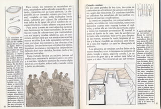 Así vivían los romanos
