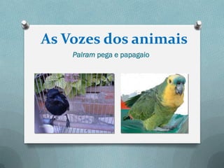 As Vozes dos animais
    Palram pega e papagaio
 