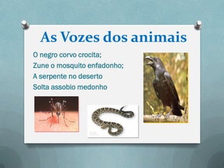As Vozes dos animais
O negro corvo crocita;
Zune o mosquito enfadonho;
A serpente no deserto
Solta assobio medonho
 