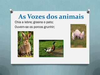 As Vozes dos animais
Chia a lebre; grasna o pato;
Ouvem-se os porcos grunhir;
 