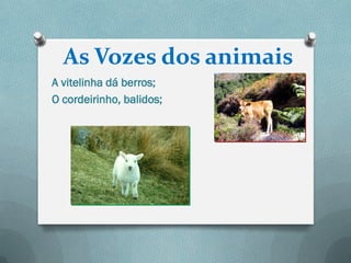 As Vozes dos animais
A vitelinha dá berros;
O cordeirinho, balidos;
 