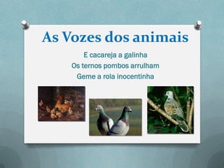 As Vozes dos animais
        E cacareja a galinha
    Os ternos pombos arrulham
     Geme a rola inocentinha
 