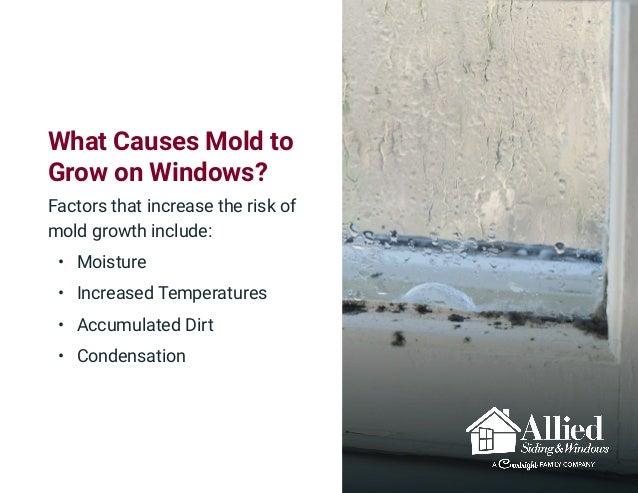 How To Prevent Mold On Window Sills