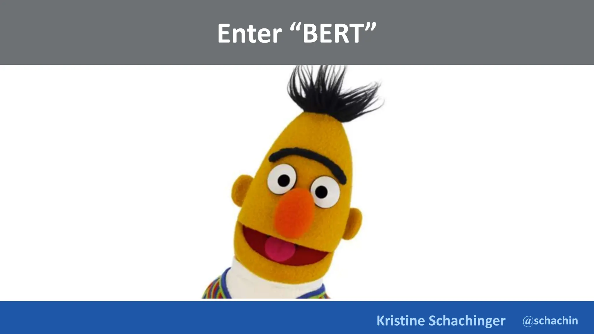 @schachin
Kristine Schachinger
Enter “BERT”
 