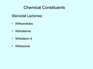 Chemical Constituents
Steroidal Lactones:
• Withanolides
• Withaferine
• Withaferin A
• Withanone
 