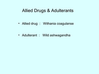 Allied Drugs & Adulterants
• Allied drug : Withania coagulanse
• Adulterant : Wild ashwagandha
 