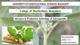 College of Horticulture, Bengaluru.
UNIVERSITY OF HORTICULTURAL SCIENCES, BAGALKOT
Presented by,
ANU T S
UHS21PGD421
 