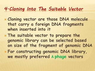 4.Cloning Into The Suitable Vector
 Cloning vector are those DNA molecule
that carry a foreign DNA fragments
when inserted into it
 The suitable vector to prepare the
genomic library can be selected based
on size of the fragment of genomic DNA
 For constructing genomic DNA library,
we mostly preferred λ phage vectors
 