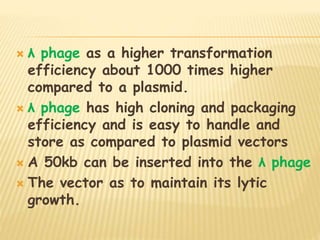 λ phage as a higher transformation
efficiency about 1000 times higher
compared to a plasmid.
 λ phage has high cloning and packaging
efficiency and is easy to handle and
store as compared to plasmid vectors
 A 50kb can be inserted into the λ phage
 The vector as to maintain its lytic
growth.
 