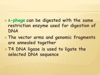  λ-phage can be digested with the same
restriction enzyme used for digestion of
DNA
 The vector arms and genomic fragments
are annealed together
 T4 DNA ligase is used to ligate the
selected DNA sequence
 