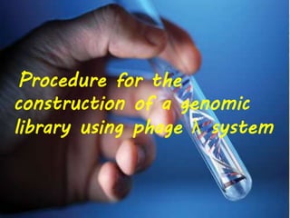 Procedure for the
construction of a genomic
library using phage λ system
 