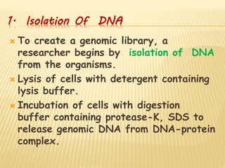 1. Isolation Of DNA
 To create a genomic library, a
researcher begins by isolation of DNA
from the organisms.
 Lysis of cells with detergent containing
lysis buffer.
 Incubation of cells with digestion
buffer containing protease-K, SDS to
release genomic DNA from DNA-protein
complex.
 