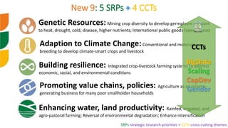 icarda.org
New 9: 5 SRPs + 4 CCTs
Genetic Resources:Mining crop diversity to develop germplasm resistant
to heat, drought,...