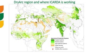DryArc region and where ICARDA is working
 