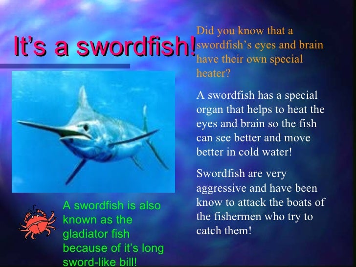 Fish facts