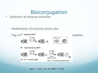 Click Chemistry Presentation - for Department of Chemistry, University ...