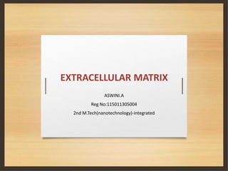 EXTRACELLULAR MATRIX
ASWINI.A
Reg No:115011305004
2nd M.Tech(nanotechnology)-integrated
 