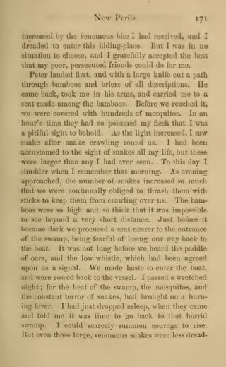 New Perils. lyi
increased by the venomous bite I had received, and I
dreaded to enter this hiding-place. But I was in no
situation to choose, and I gratefully accepted the best
that my poor, persecuted friends could do for me.
Peter landed first, and with a large knife cut a path
through bamboos and briers of all descriptions. He
came back, took me in his arms, and carried me to a
seat made among the bamboos. Before we reached it,
we were covered with hundreds of mosquitos. In an
hour's time they had so poisoned my flesh that I was
a pitiful sight to behold. As the light increased, I saw
snake after snake crawling round us. I had been
accustomed to the sight of snakes all my life, but these
were larger than any I had ever seen. To this day I
shudder when I remember that morning. As evening
approached, the number of snakes increased so much
that we were continually obliged to thrash them with
sticks to keep them from crawling over us. The bam-
boos were so high and so thick that it was impossible
to see beyond a very short distance. Just before it
became dark we procured a seat nearer to the entrance
of the swamp, being fearful of losing our way back to
the boat. It was not long before we heard the paddle
of oars, and the low whistle, which had been agreed
upon as a signal. We made haste to enter the boat,
and were rowed back to the vessel. I passed a wretched
night ; for the heat of the swamp, the mosquitos, and
the constant terror of snakes, had brought on a burn-
ing fever. I had just dropped asleep, when they came
and told me it was time to go back co that horrid
swamp. I could scarcely summon courage to rise.
But even those large, venomous snakes were less dread-
 