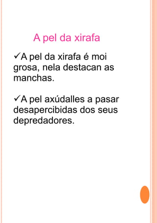 A pel da xirafa
A pel da xirafa é moi
grosa, nela destacan as
manchas.
A pel axúdalles a pasar
desapercibidas dos seus
depredadores.
 