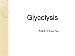 Glycolysis
Prof.Dr. A. Süha Yalçın
 