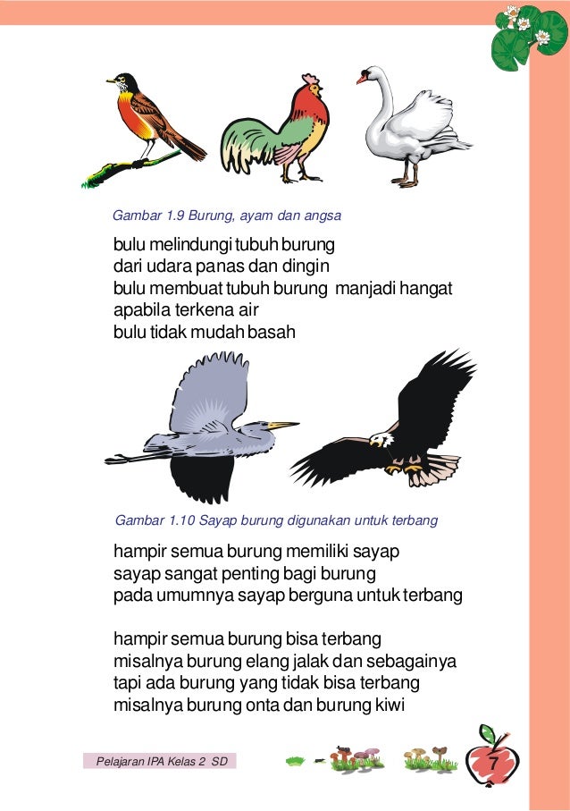 Asyiknya Belajar Ilmu Pengetahuan Alam Untuk Kelas 2