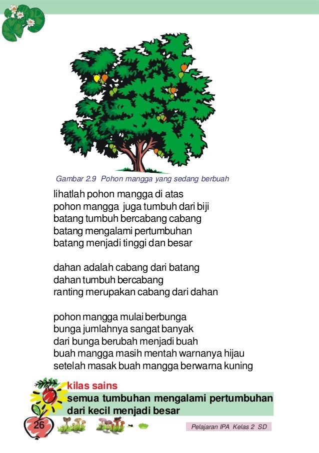 Asyiknya Belajar Ilmu Pengetahuan Alam Untuk Kelas 2