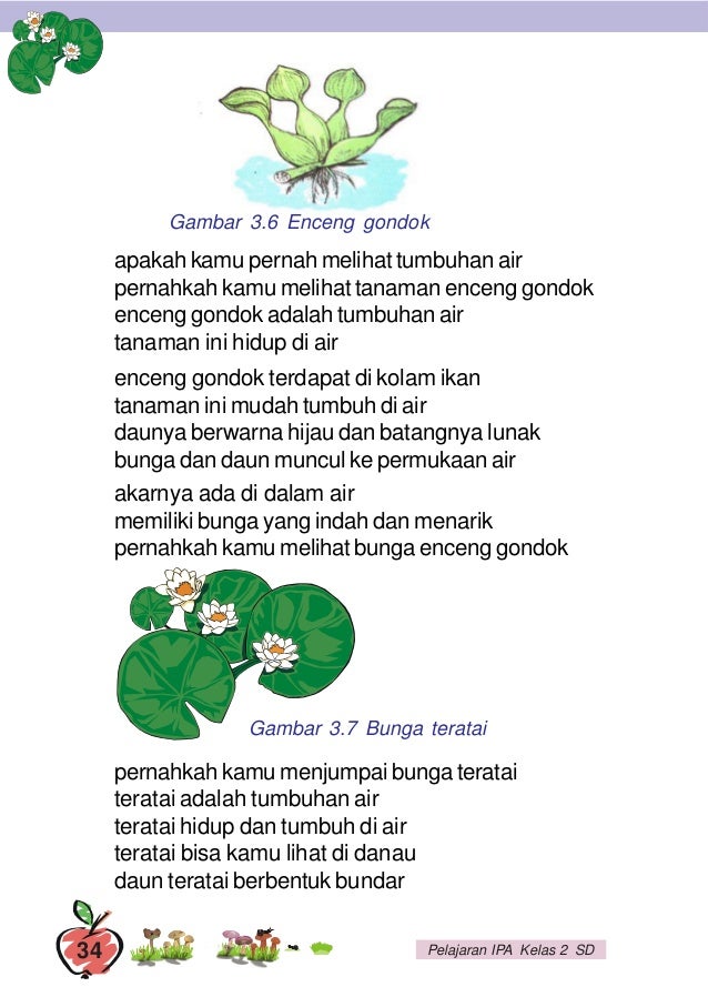 Asyiknya Belajar Ilmu Pengetahuan Alam Untuk Kelas 2