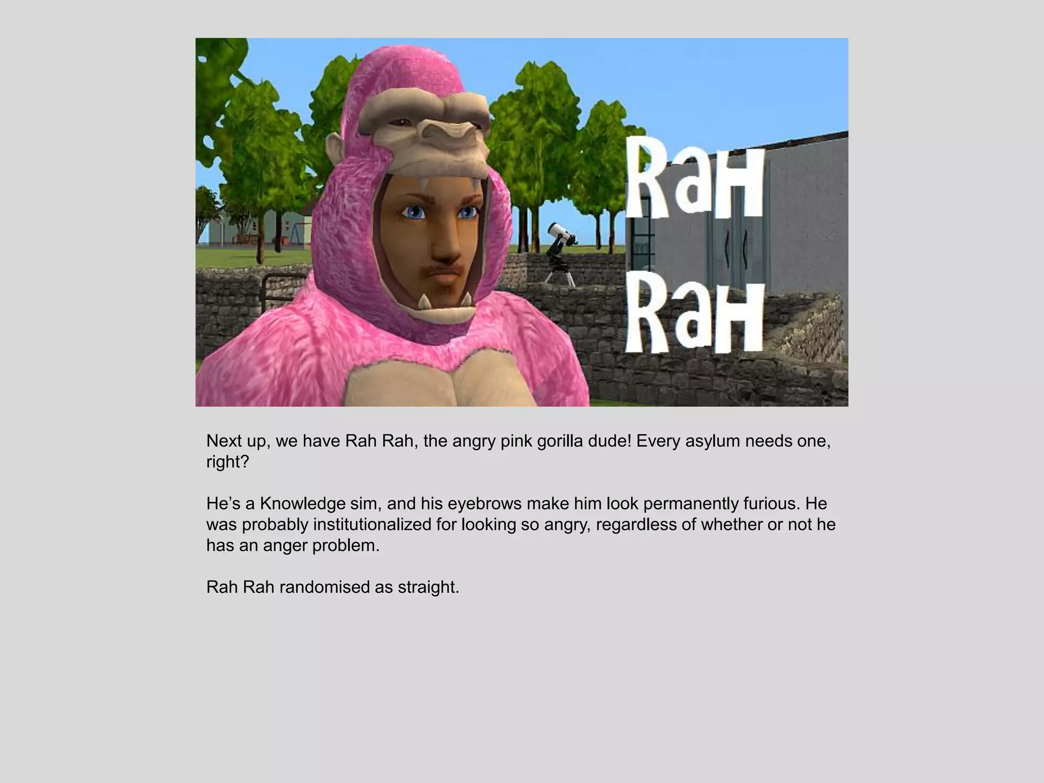 Next up, we have Rah Rah, the angry pink gorilla dude! Every asylum needs one,
right?
He’s a Knowledge sim, and his eyebrows make him look permanently furious. He
was probably institutionalized for looking so angry, regardless of whether or not he
has an anger problem.
Rah Rah randomised as straight.
 