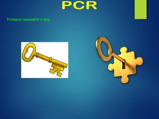 Primers resemble a key
 