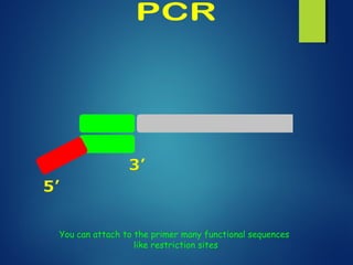You can attach to the primer many functional sequences
like restriction sites
 