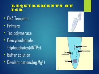  DNA Template
 Primers
 Taq polymerase
 Deoxynucleoside
triphosphates(dNTPs)
 Buffer solution
 Divalent cations(eg.Mg2+
)
Requirements of
PCR
 