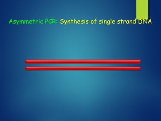 Asymmetric PCR: Synthesis of single strand DNA
 