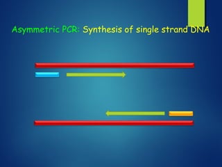 Asymmetric PCR: Synthesis of single strand DNA
 