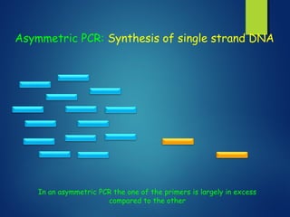 Asymmetric PCR: Synthesis of single strand DNA
In an asymmetric PCR the one of the primers is largely in excess
compared to the other
 