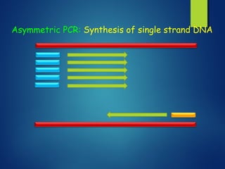 Asymmetric PCR: Synthesis of single strand DNA
 