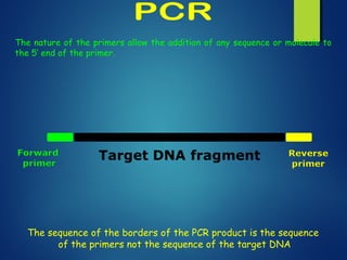 The nature of the primers allow the addition of any sequence or molecule to
the 5’ end of the primer.
The sequence of the borders of the PCR product is the sequence
of the primers not the sequence of the target DNA
 