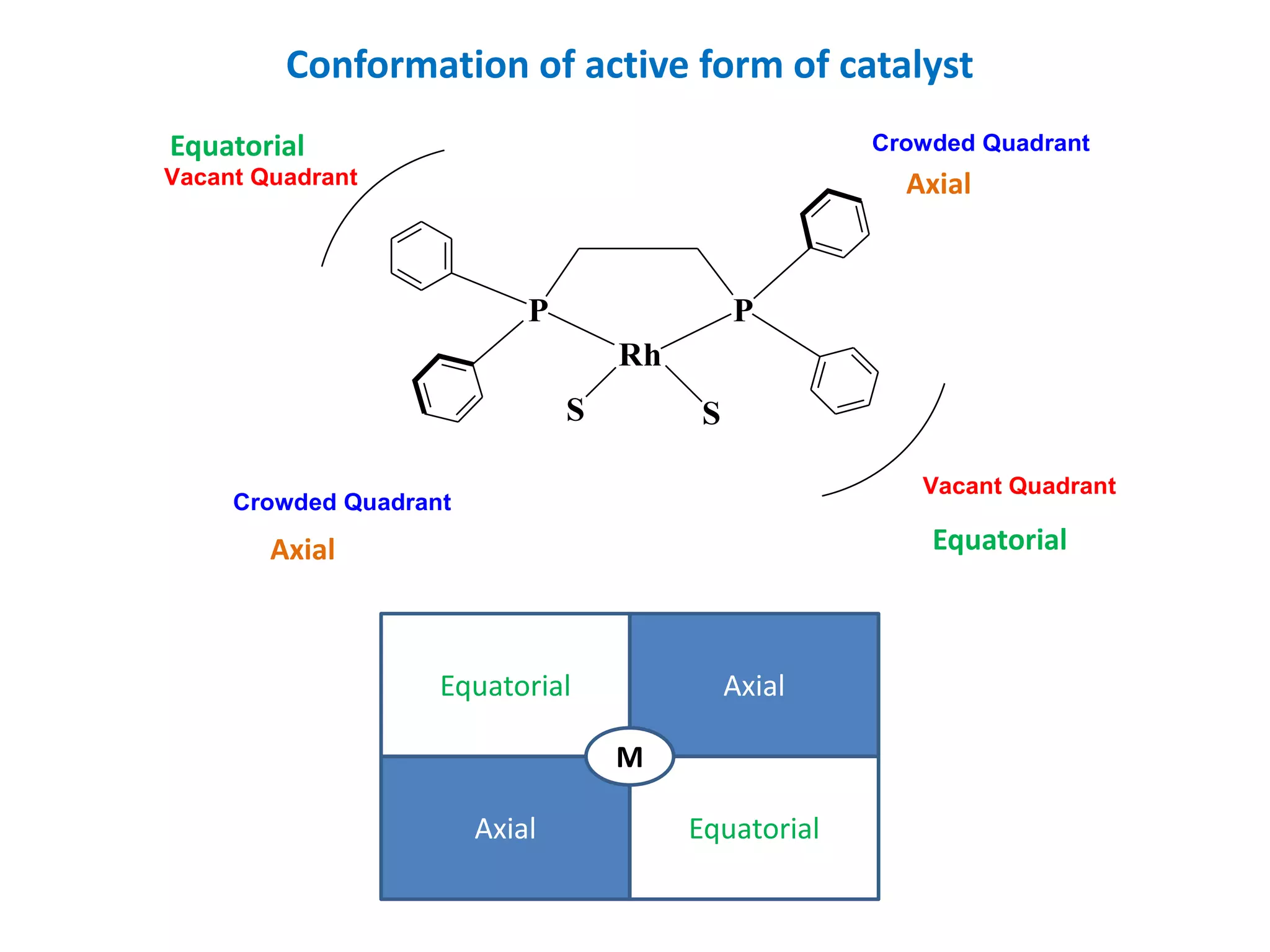 Conformation of active form of catalyst
Rh
P P
S S
Vacant Quadrant
Vacant Quadrant
Crowded Quadrant
Crowded Quadrant
Axial
Axial
Equatorial
Equatorial
Equatorial Axial
Axial Equatorial
M
 