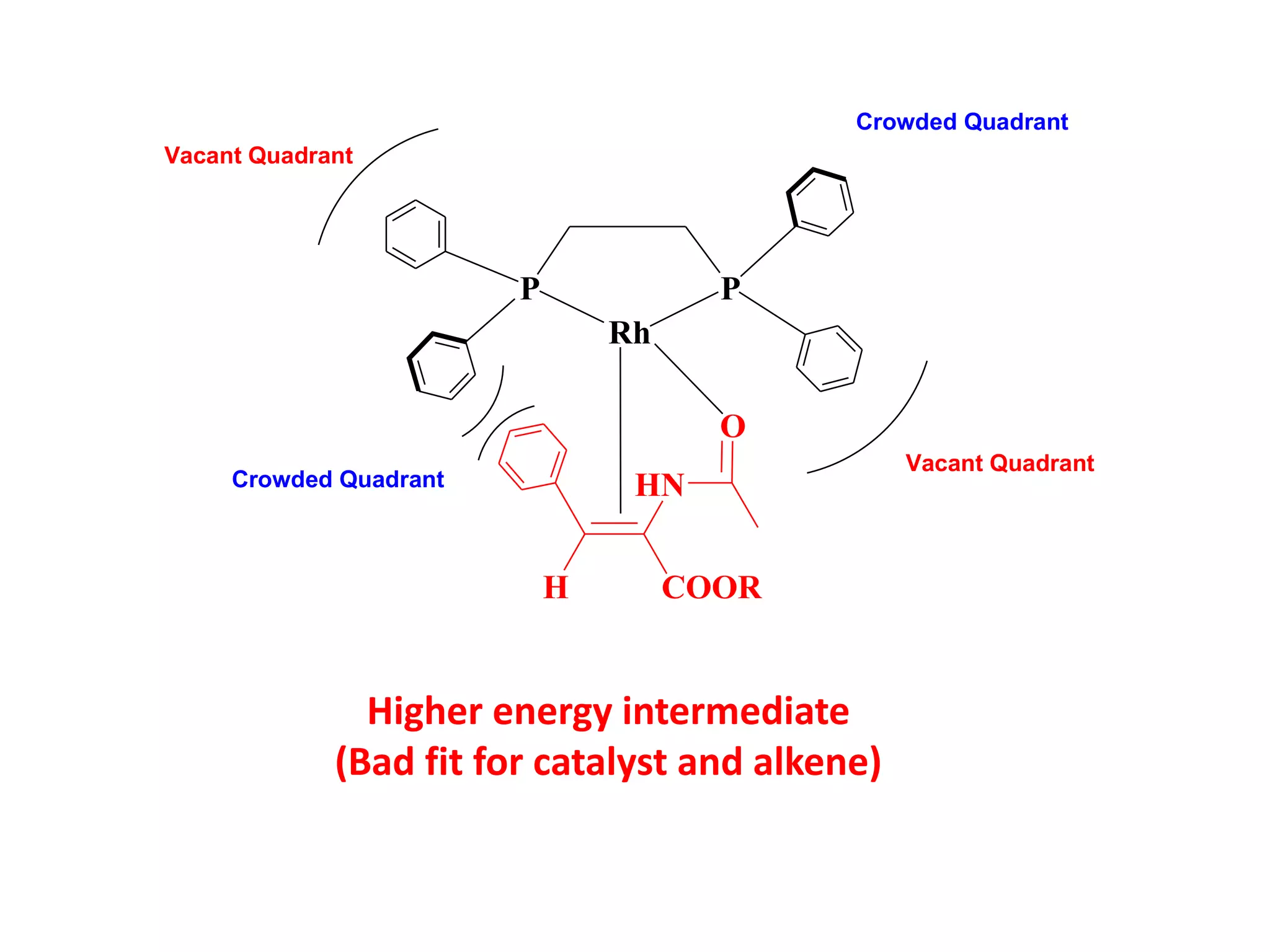 Rh
P P
Vacant Quadrant
Vacant Quadrant
Crowded Quadrant
Crowded Quadrant
H
HN
O
COOR
Higher energy intermediate
(Bad fit for catalyst and alkene)
 