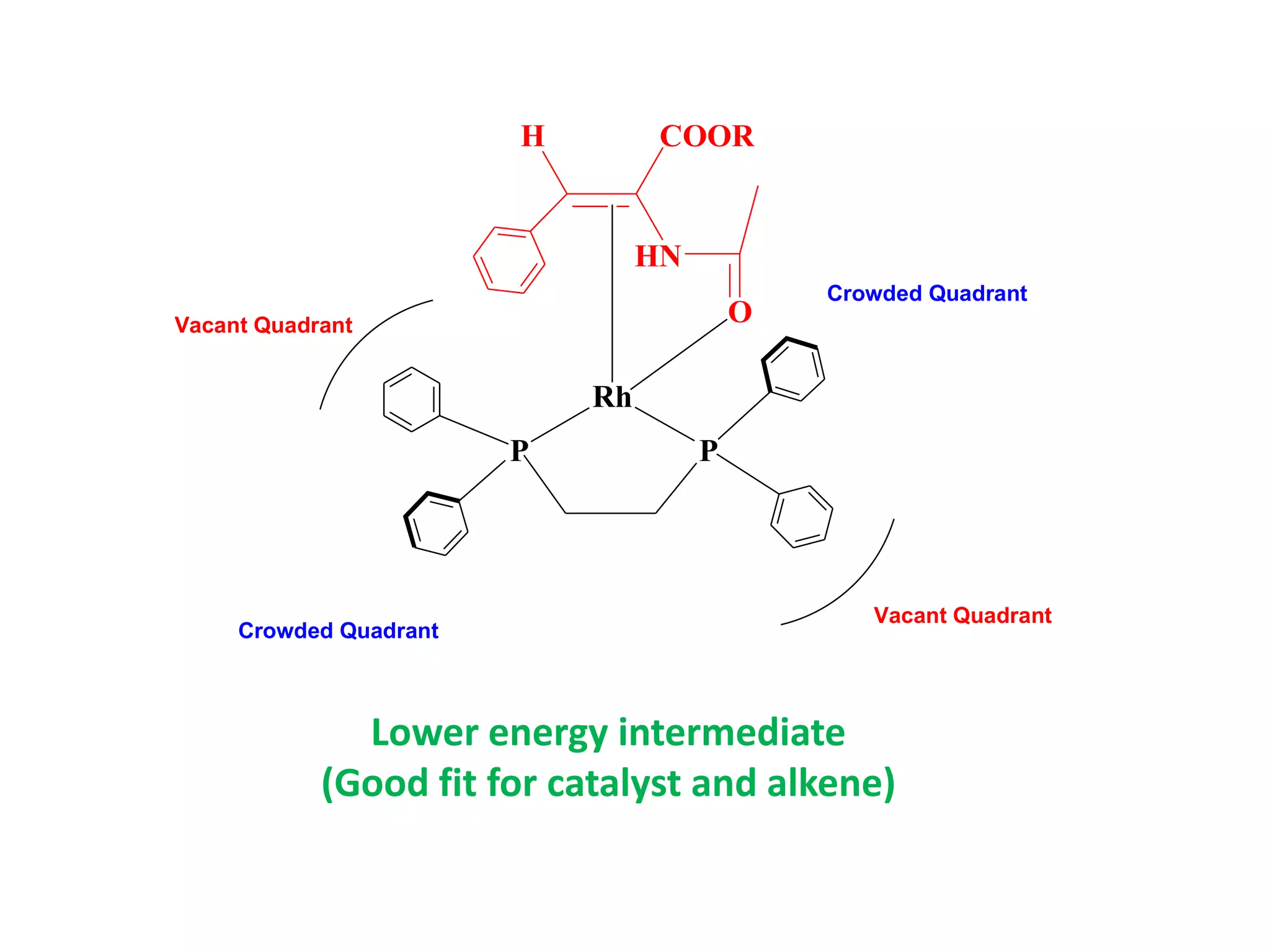 P P
Vacant Quadrant
Vacant Quadrant
Crowded Quadrant
Crowded Quadrant
Rh
H COOR
HN
O
Lower energy intermediate
(Good fit for catalyst and alkene)
 
