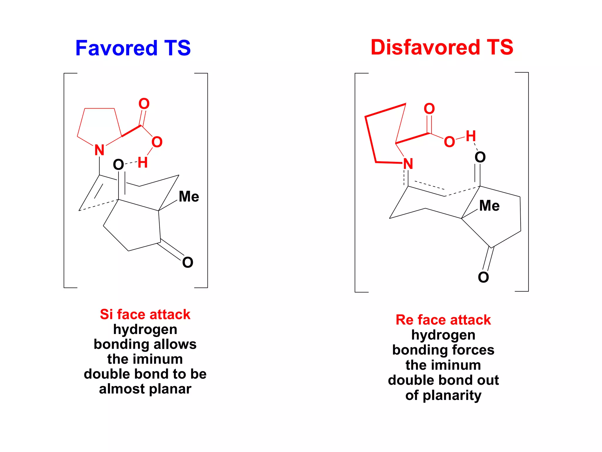 N
Me
O
O
O
H
O
N
Me
O
O
H
O
O
Si face attack
hydrogen
bonding allows
the iminum
double bond to be
almost planar
Re face attack
hydrogen
bonding forces
the iminum
double bond out
of planarity
Favored TS Disfavored TS
 