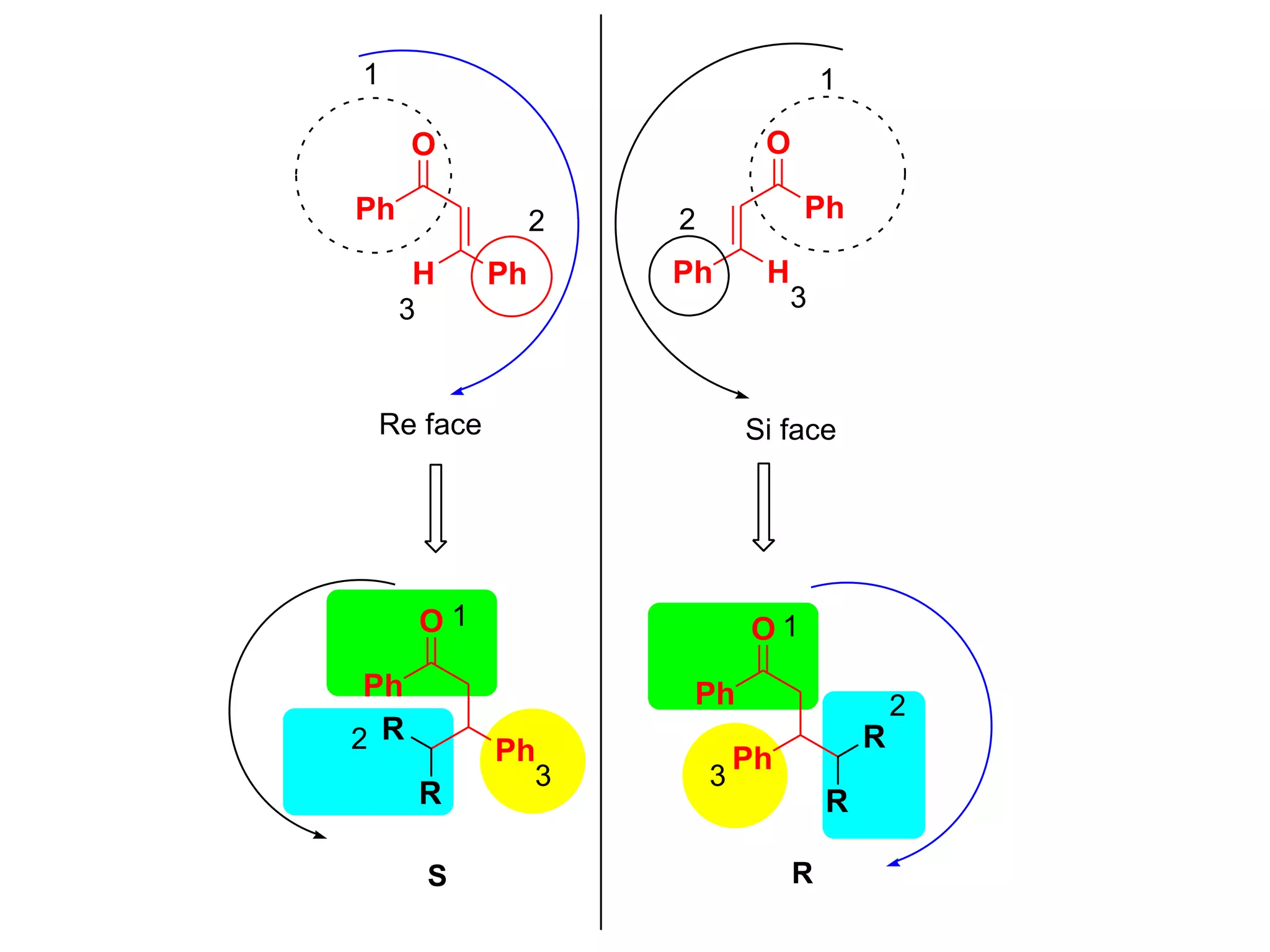 Ph
O
Ph
Ph
O
Ph
1
2
H
3
H
1
2
3
Re face Si face
Ph
O
Ph
R
R
O
Ph
Ph
R
R
1
2
3
1
2
3
S R
 