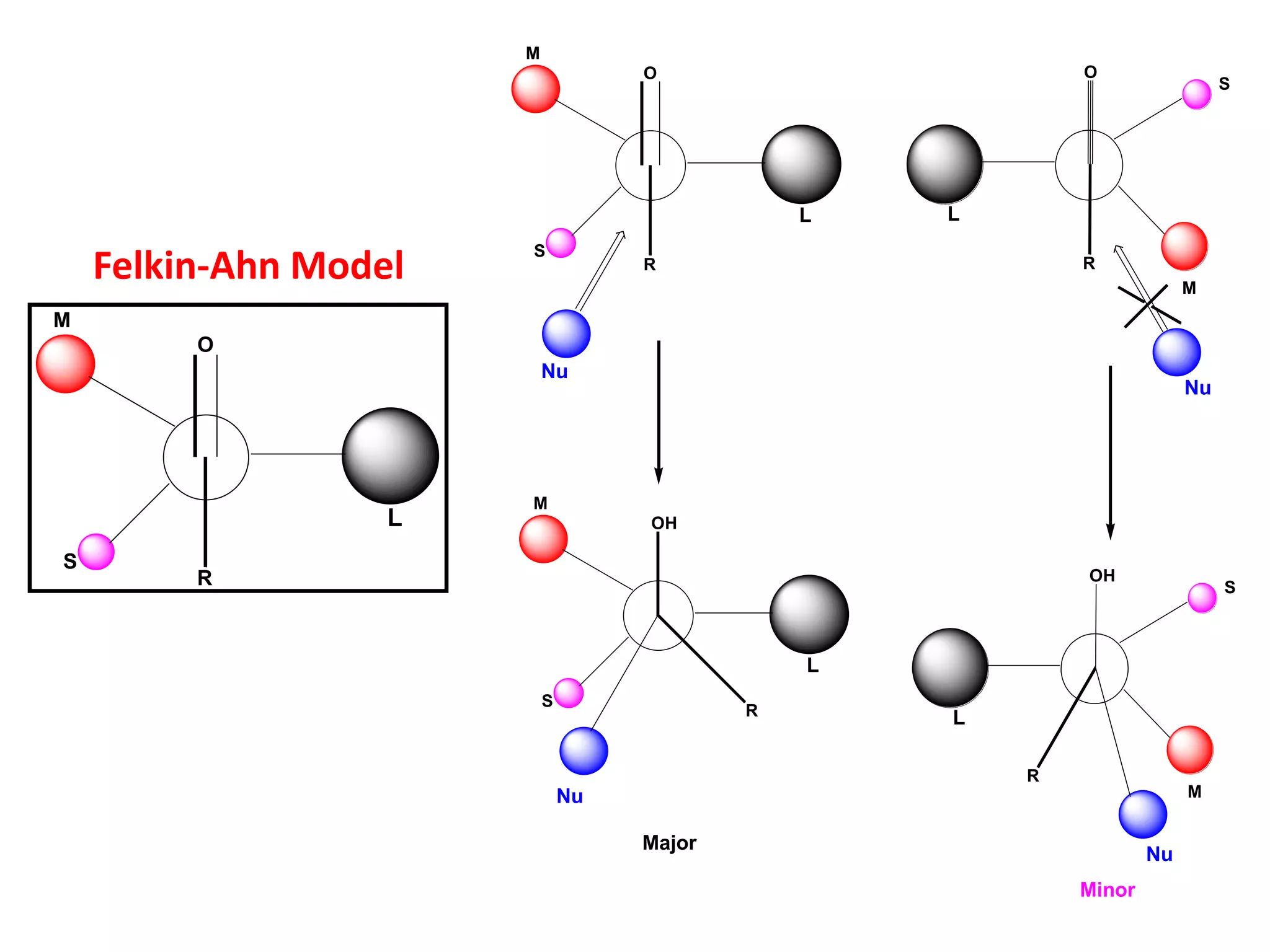 O
R
L
M
S
O
R
L
M
S
O
R
L
M
S
Nu
Nu
OH
R
L
M
S
Nu
OH
R
L
M
S
Nu
Major
Minor
Felkin-Ahn Model
 